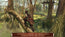 Assassin's Creed III Remastered (Nintendo Switch)
