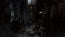 Bloodborne (PS4)